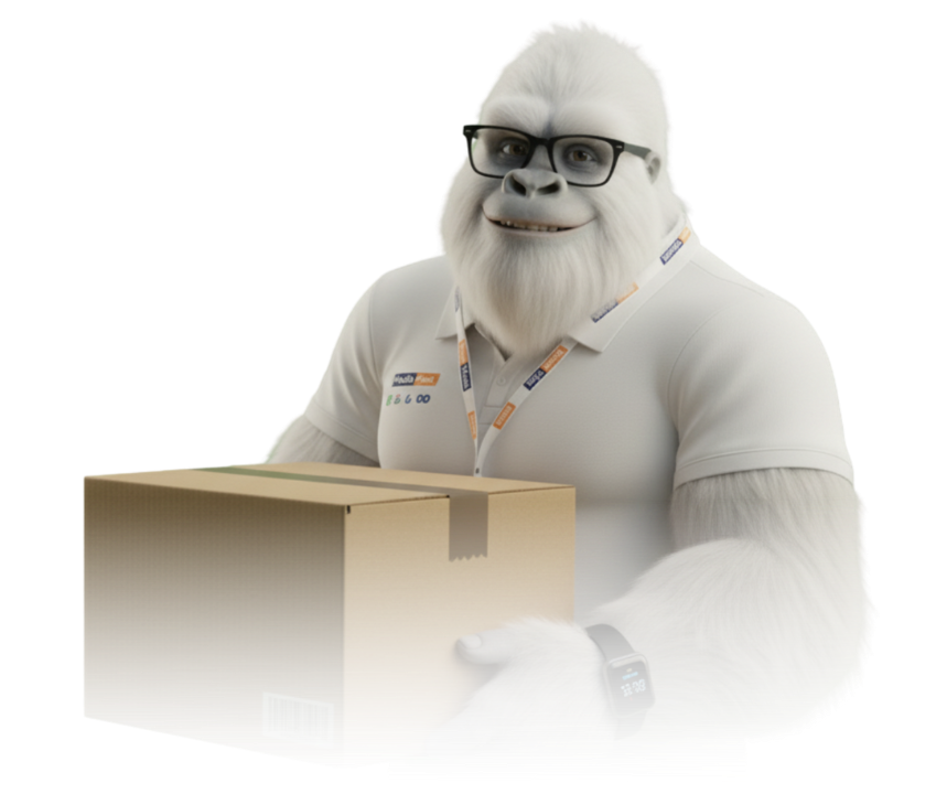 Yeti Media Fast - E-commerce