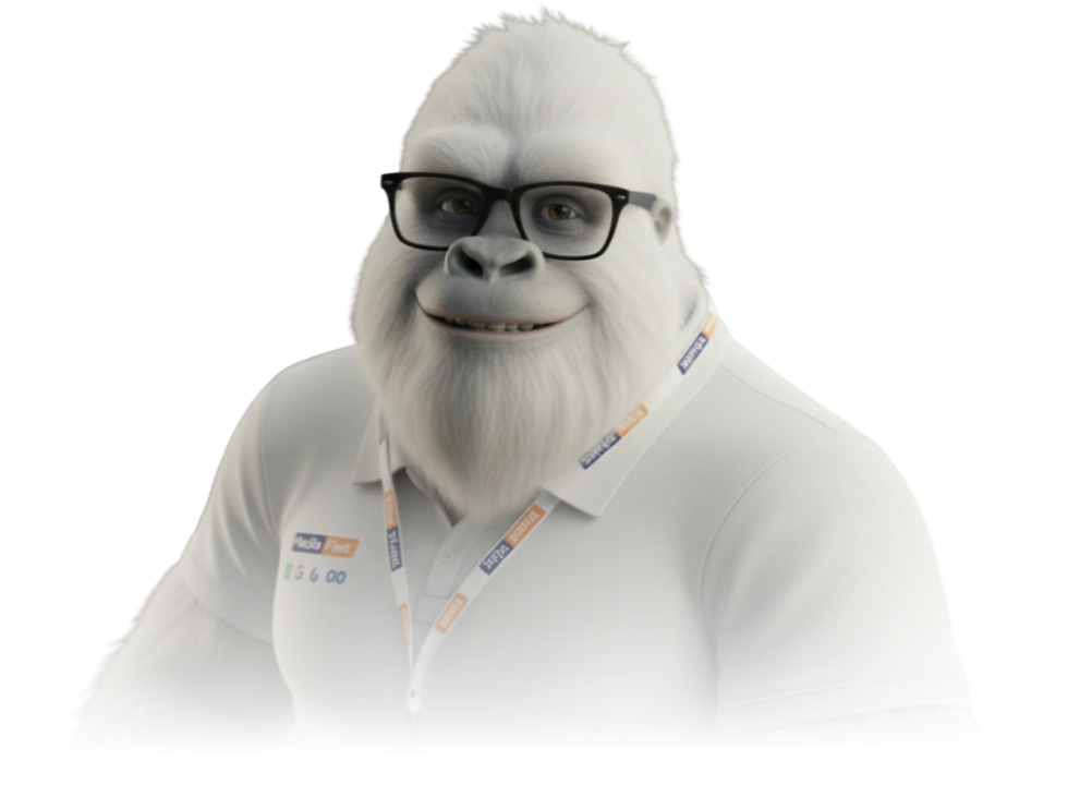 Yeti Media Fast - Optimisation de site web