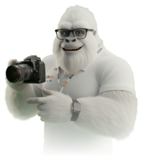 Yeti Media Fast Community Manager